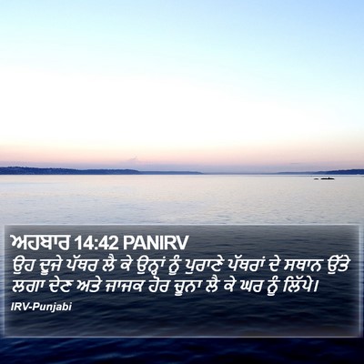 ਅਹਬਾਰ 14:42 PANIRV Bible Verse Image