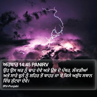 ਅਹਬਾਰ 14:45 PANIRV Bible Verse Image