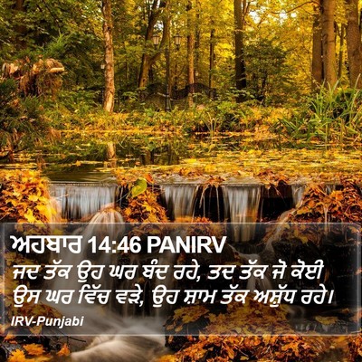 ਅਹਬਾਰ 14:46 PANIRV Bible Verse Image