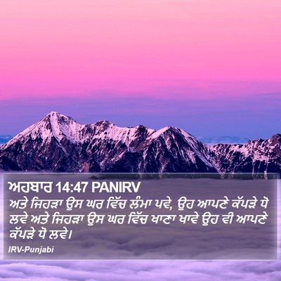 ਅਹਬਾਰ 14:47 PANIRV Bible Verse Image