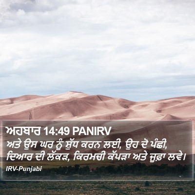 ਅਹਬਾਰ 14:49 PANIRV Bible Verse Image
