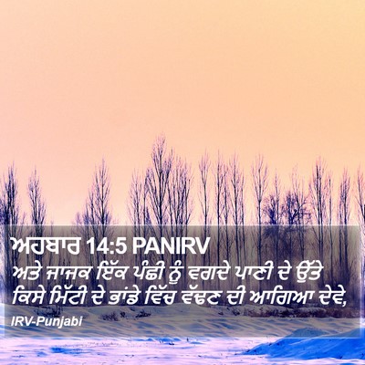 ਅਹਬਾਰ 14:5 PANIRV Bible Verse Image