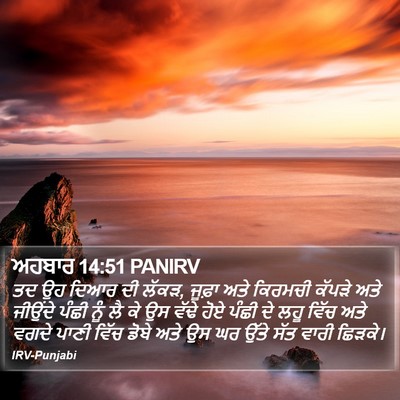 ਅਹਬਾਰ 14:51 PANIRV Bible Verse Image