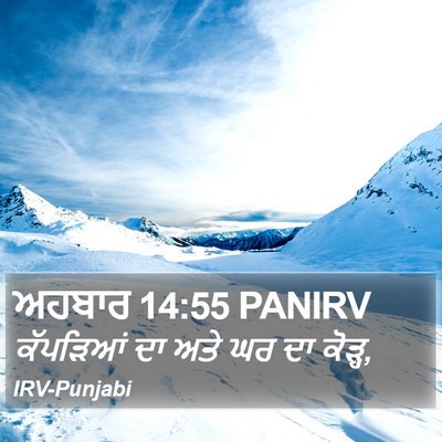 ਅਹਬਾਰ 14:55 PANIRV Bible Verse Image