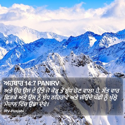 ਅਹਬਾਰ 14:7 PANIRV Bible Verse Image