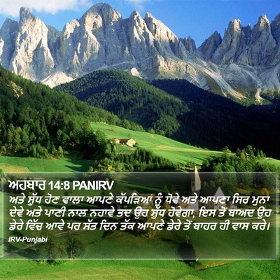 ਅਹਬਾਰ 14:8 PANIRV Bible Verse Image