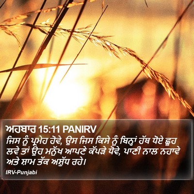 ਅਹਬਾਰ 15:11 PANIRV Bible Verse Image
