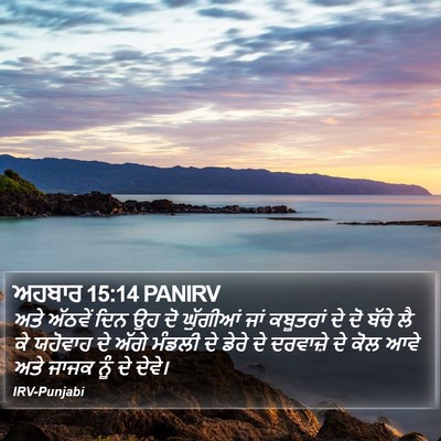 ਅਹਬਾਰ 15:14 PANIRV Bible Verse Image