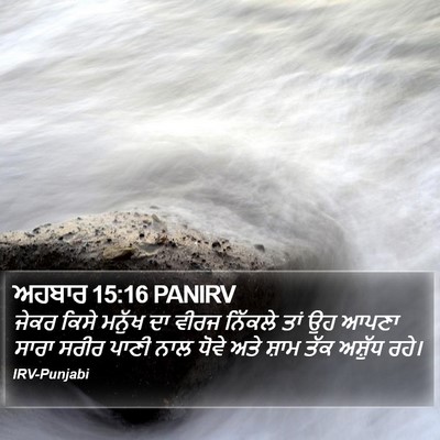 ਅਹਬਾਰ 15:16 PANIRV Bible Verse Image