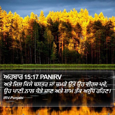 ਅਹਬਾਰ 15:17 PANIRV Bible Verse Image