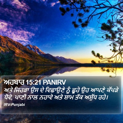 ਅਹਬਾਰ 15:21 PANIRV Bible Verse Image