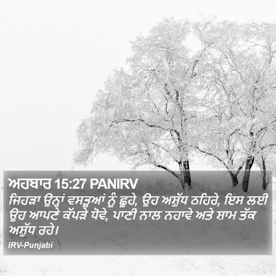 ਅਹਬਾਰ 15:27 PANIRV Bible Verse Image