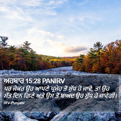 ਅਹਬਾਰ 15:28 PANIRV Bible Verse Image