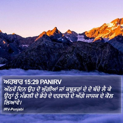 ਅਹਬਾਰ 15:29 PANIRV Bible Verse Image