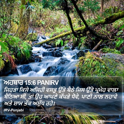ਅਹਬਾਰ 15:6 PANIRV Bible Verse Image