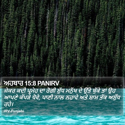 ਅਹਬਾਰ 15:8 PANIRV Bible Verse Image