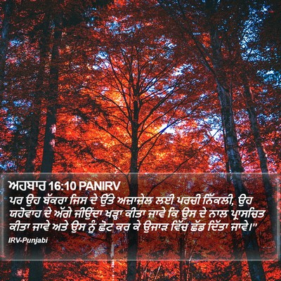 ਅਹਬਾਰ 16:10 PANIRV Bible Verse Image