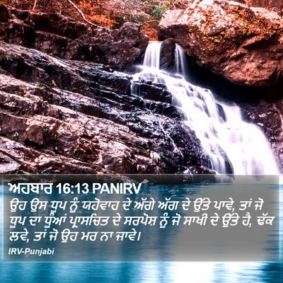 ਅਹਬਾਰ 16:13 PANIRV Bible Verse Image