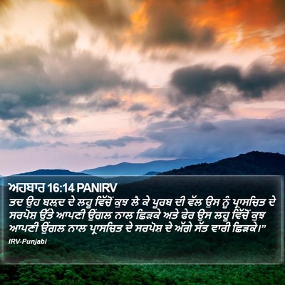 ਅਹਬਾਰ 16:14 PANIRV Bible Verse Image