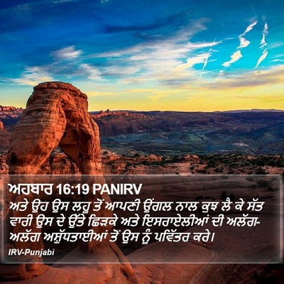 ਅਹਬਾਰ 16:19 PANIRV Bible Verse Image