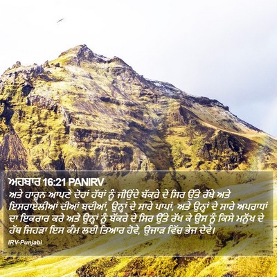 ਅਹਬਾਰ 16:21 PANIRV Bible Verse Image