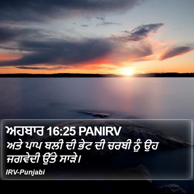 ਅਹਬਾਰ 16:25 PANIRV Bible Verse Image