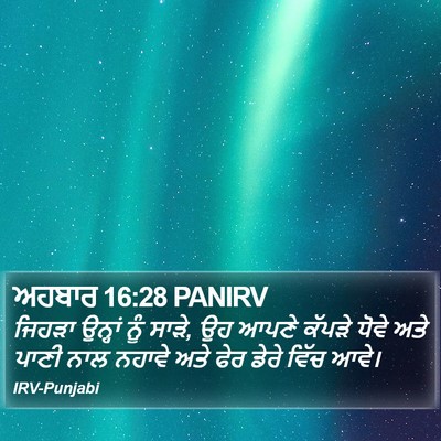 ਅਹਬਾਰ 16:28 PANIRV Bible Verse Image