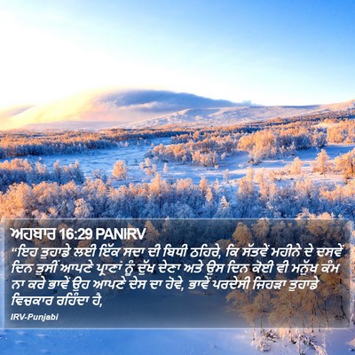 ਅਹਬਾਰ 16:29 PANIRV Bible Verse Image