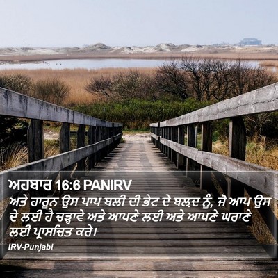 ਅਹਬਾਰ 16:6 PANIRV Bible Verse Image