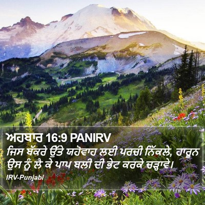 ਅਹਬਾਰ 16:9 PANIRV Bible Verse Image