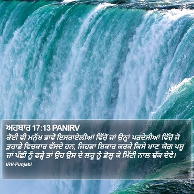 ਅਹਬਾਰ 17:13 PANIRV Bible Verse Image