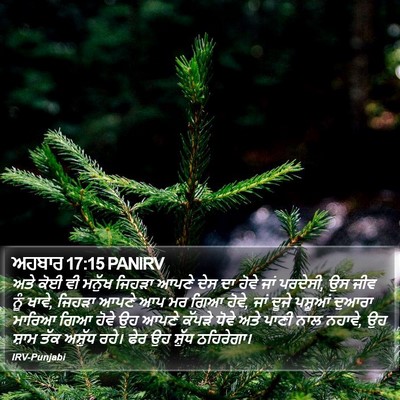 ਅਹਬਾਰ 17:15 PANIRV Bible Verse Image