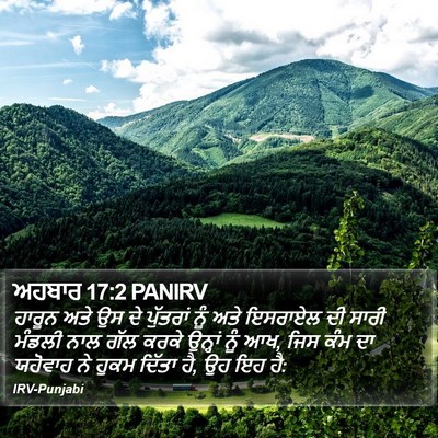 ਅਹਬਾਰ 17:2 PANIRV Bible Verse Image