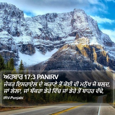 ਅਹਬਾਰ 17:3 PANIRV Bible Verse Image