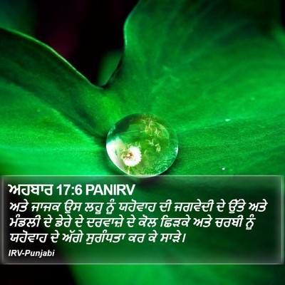 ਅਹਬਾਰ 17:6 PANIRV Bible Verse Image