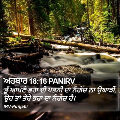 ਅਹਬਾਰ 18:16 PANIRV Bible Verse Image