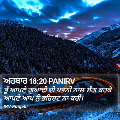 ਅਹਬਾਰ 18:20 PANIRV Bible Verse Image