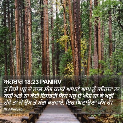 ਅਹਬਾਰ 18:23 PANIRV Bible Verse Image