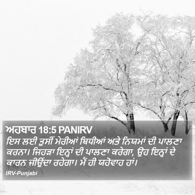 ਅਹਬਾਰ 18:5 PANIRV Bible Verse Image