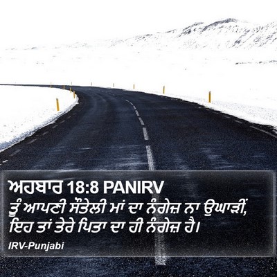 ਅਹਬਾਰ 18:8 PANIRV Bible Verse Image
