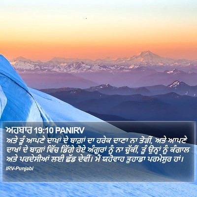 ਅਹਬਾਰ 19:10 PANIRV Bible Verse Image