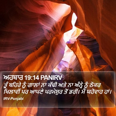 ਅਹਬਾਰ 19:14 PANIRV Bible Verse Image