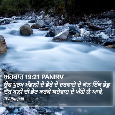 ਅਹਬਾਰ 19:21 PANIRV Bible Verse Image