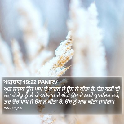 ਅਹਬਾਰ 19:22 PANIRV Bible Verse Image
