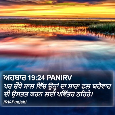 ਅਹਬਾਰ 19:24 PANIRV Bible Verse Image