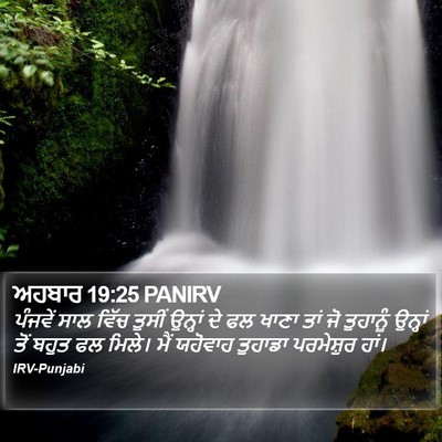 ਅਹਬਾਰ 19:25 PANIRV Bible Verse Image