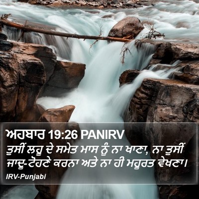 ਅਹਬਾਰ 19:26 PANIRV Bible Verse Image