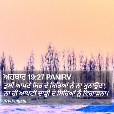 ਅਹਬਾਰ 19:27 PANIRV Bible Verse Image