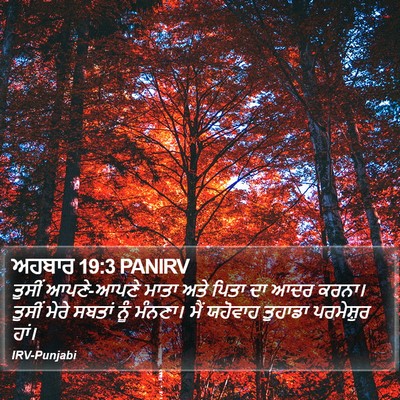 ਅਹਬਾਰ 19:3 PANIRV Bible Verse Image