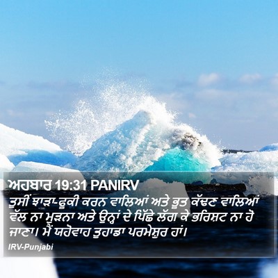 ਅਹਬਾਰ 19:31 PANIRV Bible Verse Image
